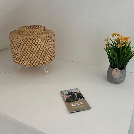 Residence 3 Studios De Charme Dans Centre Proche Cathedrale, Parking Possible A Prox 奥尔良 外观 照片